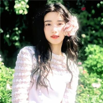 超级救援狗